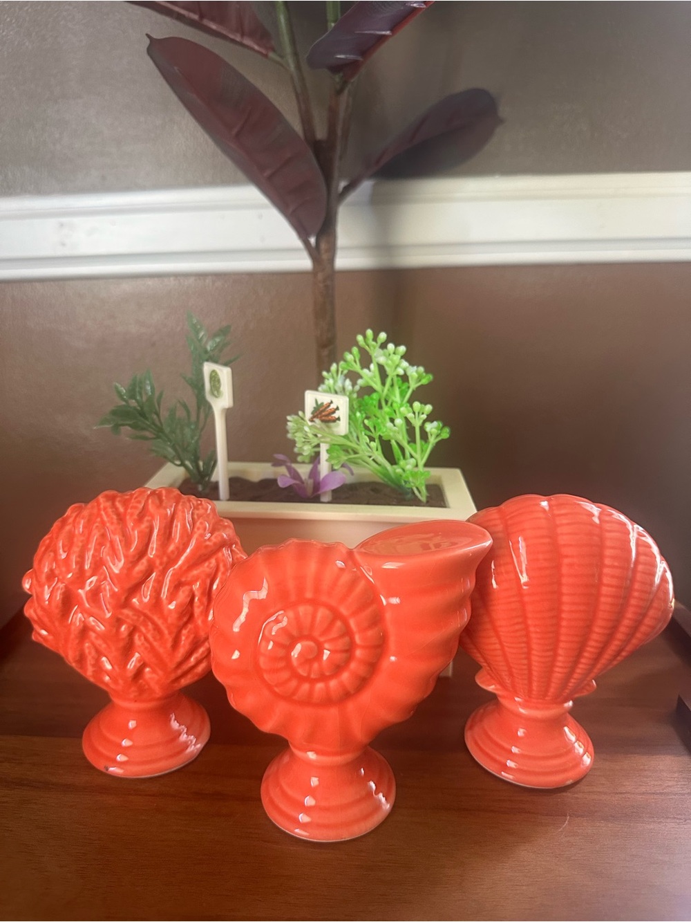 Home Essentials Glossy Coral Ceramic Seashell Accent Set